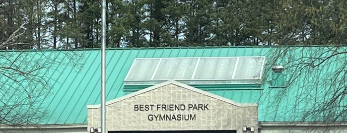 Best Friend Park is one of Places I'd like to go.