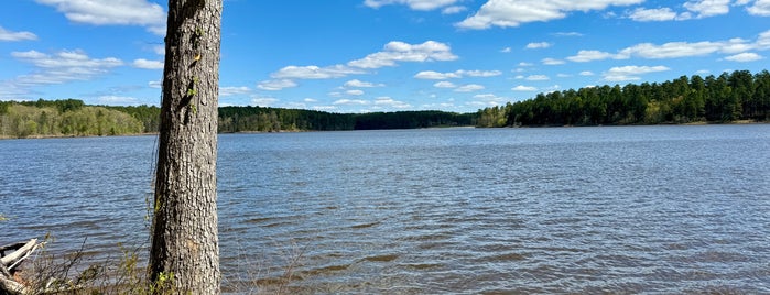 Falls Lake State Recreation Area is one of North Carolina.