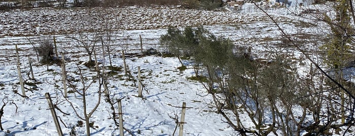 Kirazli koyu is one of Lieux qui ont plu à Şule.