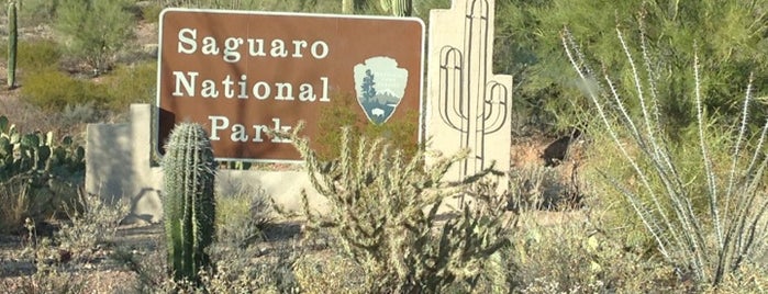 Saguaro National Park West is one of TUCSON.