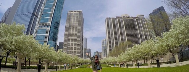 Maggie Daley Park is one of Chicago.