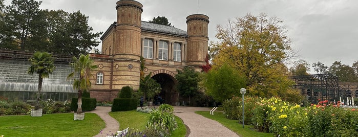 Botanischer Garten is one of Karlsruhe beloved.