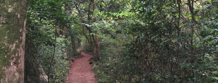 Bija Forest is one of Orte, die Hyun Ku gefallen.