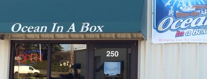 Ocean In A Box is one of Saltwater Aquarium Stores.