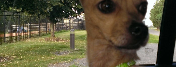 Dog Days Daycare Center is one of For The Dogs.