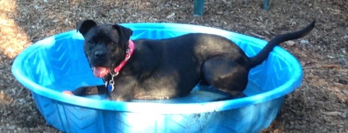 Dog Park at Villa Chanticleer is one of Healdsburg.