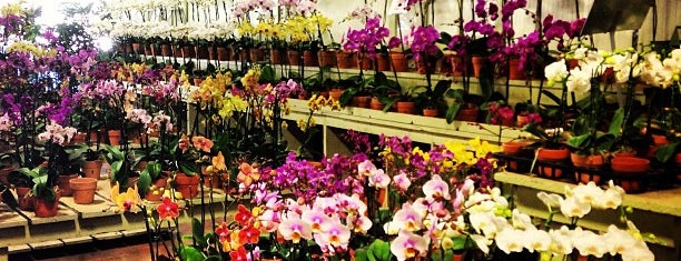 SF Flower Mart is one of To-Do in USA.