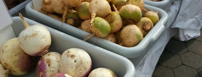 Union Square Greenmarket is one of Best Things to do in New York in the Spring.