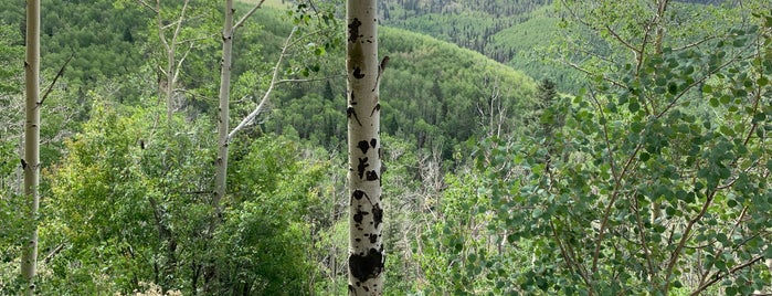 Aspen Vista Trail is one of New Mexico 🪶.