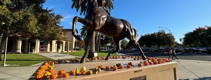 Santa Clara University is one of California Dreamin'.