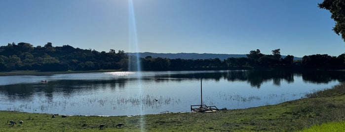 Lake Lagunita is one of Stanford University & Stanford Shopping Centre.