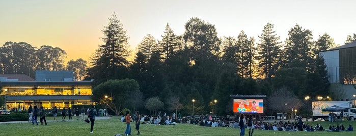 Memorial Glade is one of Top 10 favorites places in Berkeley, CA.