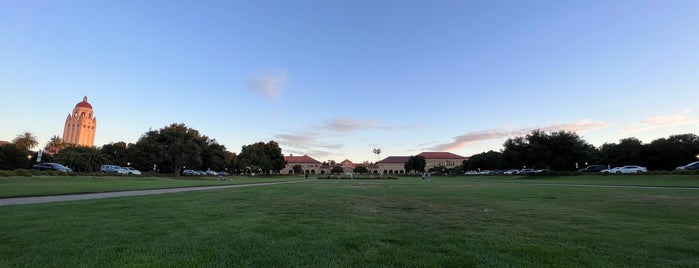 The Stanford Oval is one of Outdoors SF Bay.