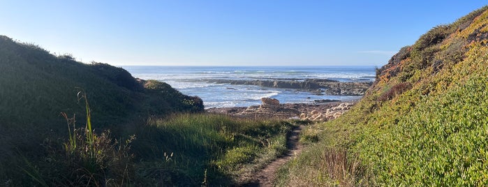 Montana De Oro State Park is one of SLO County Top Spots.