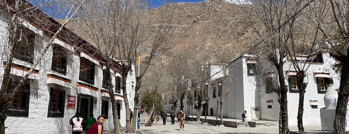 Sera Monastery is one of Orte, die Beeee gefallen.