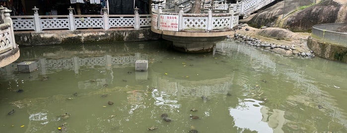 Kek Lok Si Temple Tortoise Pond is one of Tempat yang Disukai Keith.