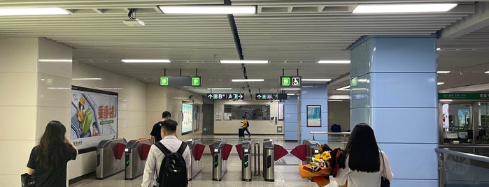 Hubei Metro Station is one of 深圳地铁 - Shenzhen Metro.