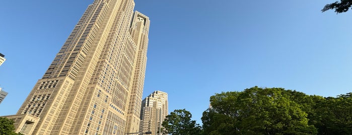 Shinjuku Chuo Park is one of 観光6.