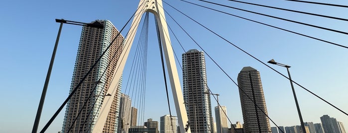 Chuo-Ohashi Bridge is one of Tokyo.