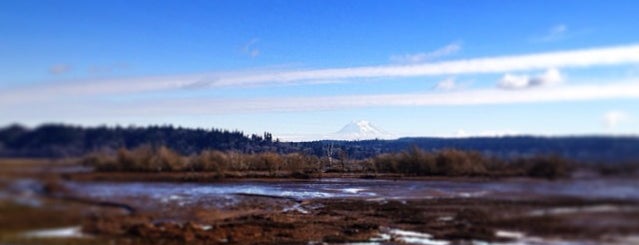 Nisqually Gazebo is one of Orte, die Gayla gefallen.