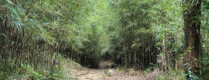 Tai Po Kau Nature Reserve 大埔滘自然護理區 is one of Hong Kong.