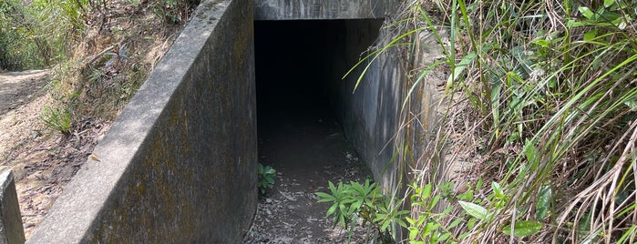 MacLehose Trail (Section 6) is one of HK tourist recommendations.