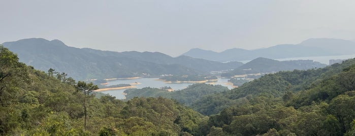 Tai Lam Country Park is one of HK hikes & trails.