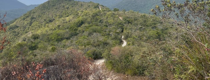 Sai Kung West Country Park is one of Hong Kong.