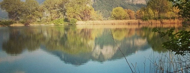 Torbiere del Sebino is one of Locais curtidos por Tony.