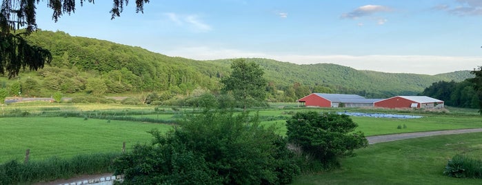 Stony Creek Farmstead is one of Out of town.
