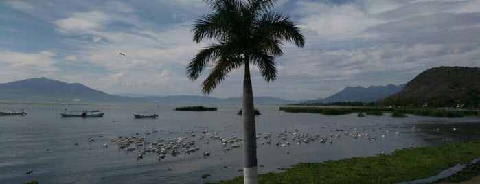 Chapala is one of สถานที่ที่ Alexander ถูกใจ.