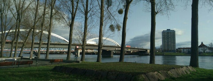 Pont de l'Europe is one of Alexander : понравившиеся места.