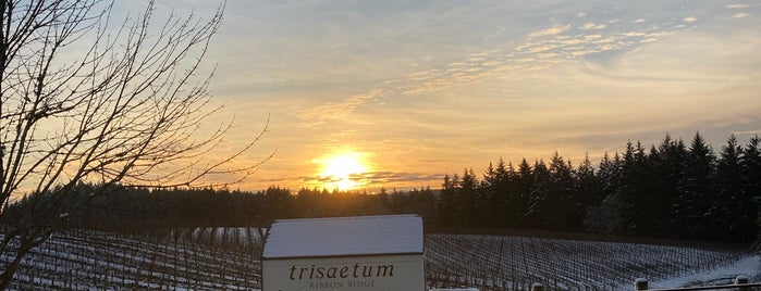 Trisaetum Winery is one of Oregon.