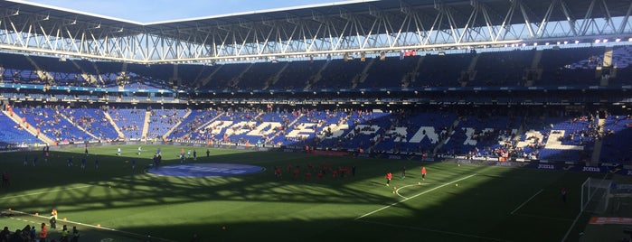 RCDE Stadium is one of Rodrigo'nun Beğendiği Mekanlar.