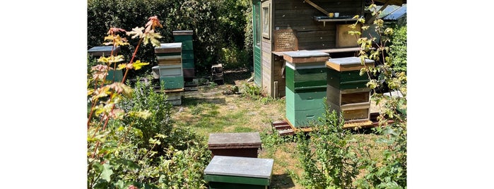 Het nieuwe Bijenpark is one of Wesside.