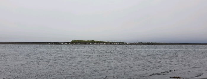 Seal beach is one of สถานที่ที่ Mo ถูกใจ.