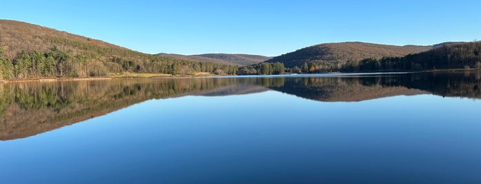 Allegany State Park is one of Favorite Places.