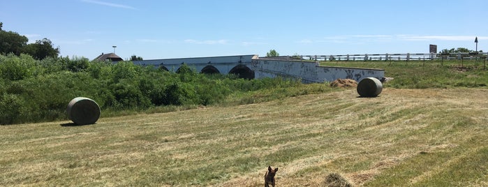 Hortobágyi Nemzeti Park is one of Kiránydúni'!!444!.