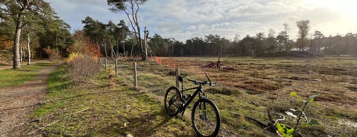 MTB Route Zeist is one of Mountainbike.