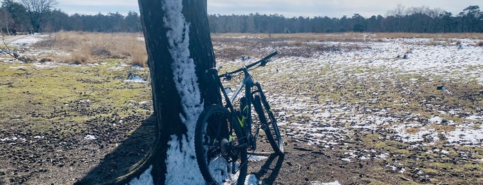 MTB route Austerlitz is one of mTB-Routes.