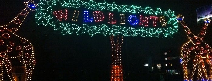 Wild Lights @ Detroit Zoo is one of The Best Christmas Lights Ever!.