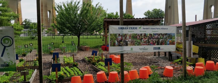 Randall's Island Urban Farm is one of prettttty.