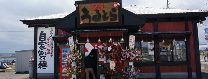 麺屋うるとら is one of Lugares favoritos de Shin.