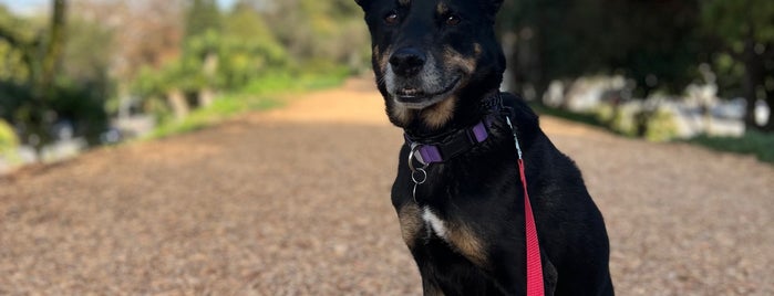 Wood Chip Trail is one of Hike around town.