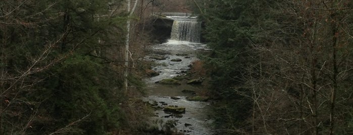 Bike and Walk Trail is one of Waterfalls - 2.