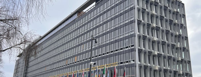 World Health Organization (WHO) is one of Geneva.
