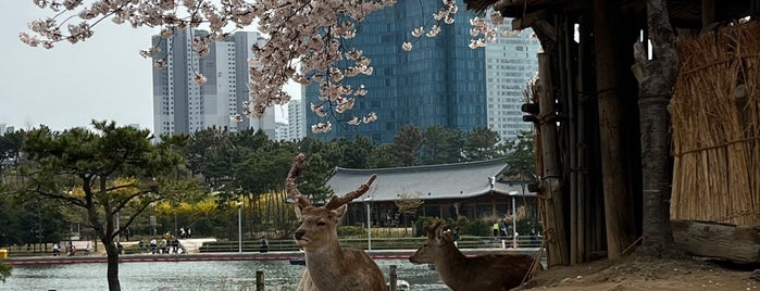 Songdo Central Park is one of Meri'nin Beğendiği Mekanlar.