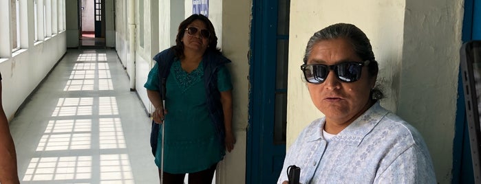 instituto nacional pro ciegos is one of Locais curtidos por Diana.