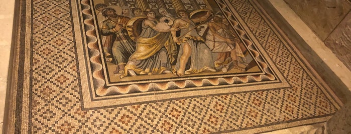 Zeugma Mozaik Müzesi is one of Mustafa 님이 좋아한 장소.