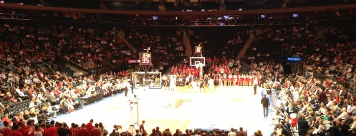 Madison Square Garden is one of NHL Arenas 2013.